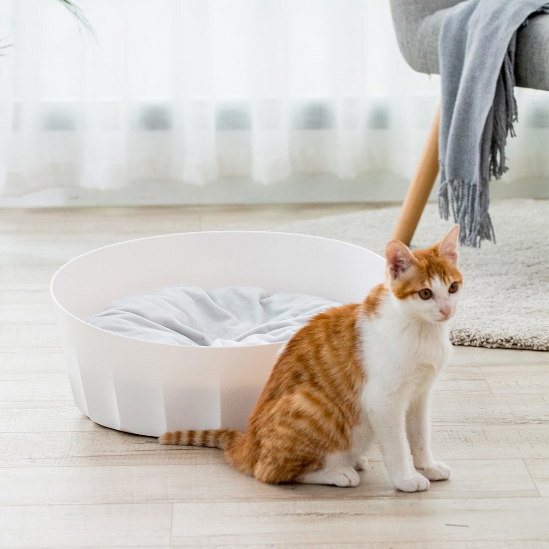 Xiaomi Jordan & judy-lit nid d'animaux | Lit rond ... – Grandado