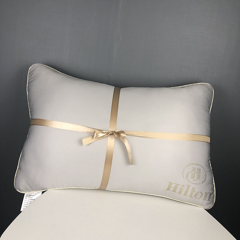 48x74cm maison Textile velours oreiller noyau luxe fleur chaude oreiller pour hôtel literie plume coussin noyau: Silver gray / 48x74cm (950g) 1pc