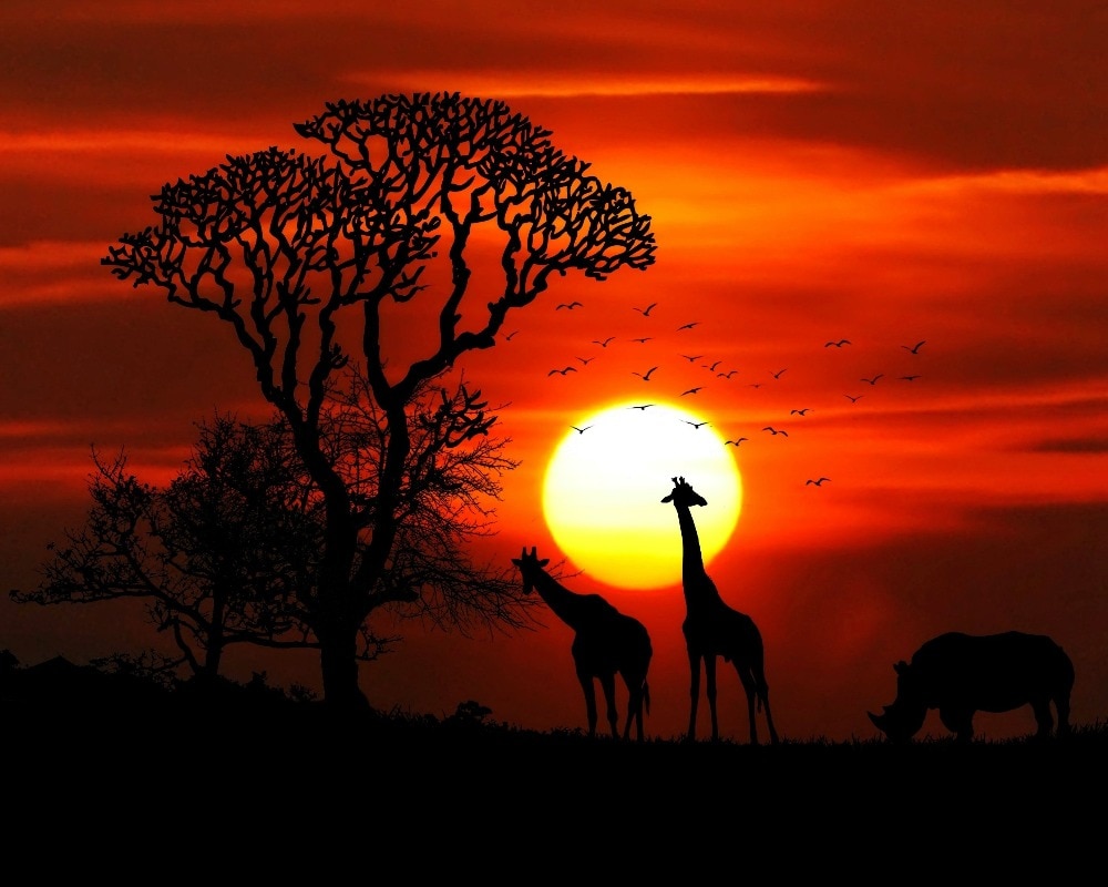 paint-by-numbers-kits-for-adults-diy-40345-vicedeal