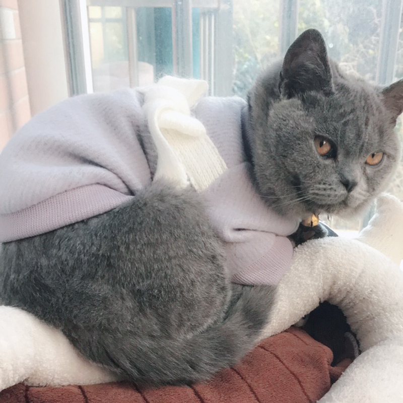 Søde søde kattekat strikket sweater efterår vinter varm kattetøj til små katte killingfrakkejakke kæledyrstøj katteforsyninger