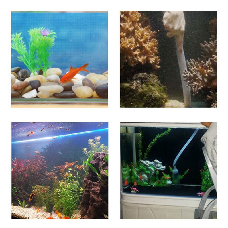 Aquarium Nitrifizierende Bakterien Superkonzentrierte Kapselfische für sauber Puri