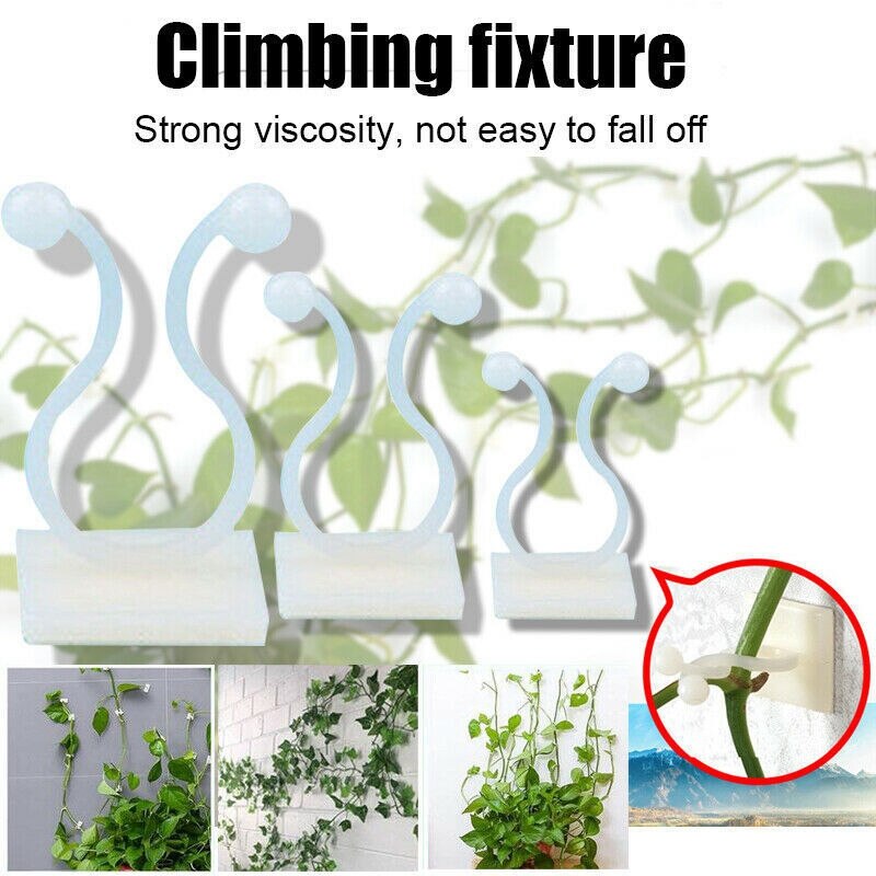 50 Stuks Van Onzichtbare Muur Rotan Clip Clip Onzichtbare Muur Rotan Klimmen Stok Haak Rotan Bevestiging Clip Beugel