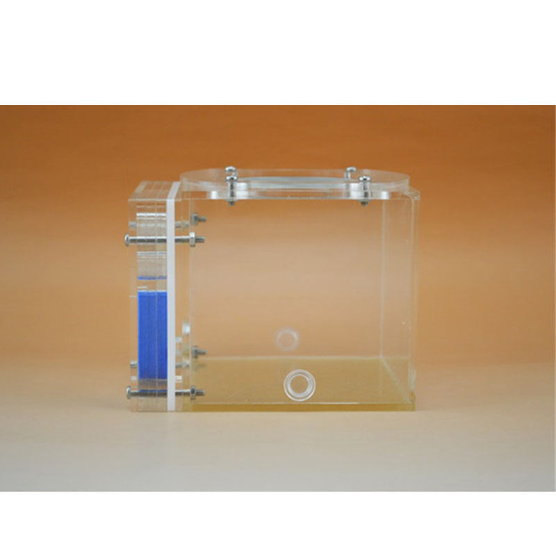 Moisture big space Bionic Plane Acrylic Ant Nest