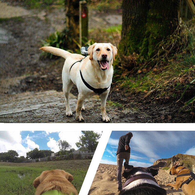 Bande de chien réglable pour Gopro hero 9 8 7 6 5 4 harnais de chien ceinture de poitrine sangle de sport support de montage de caméra pour SJCAM Xiaoyi