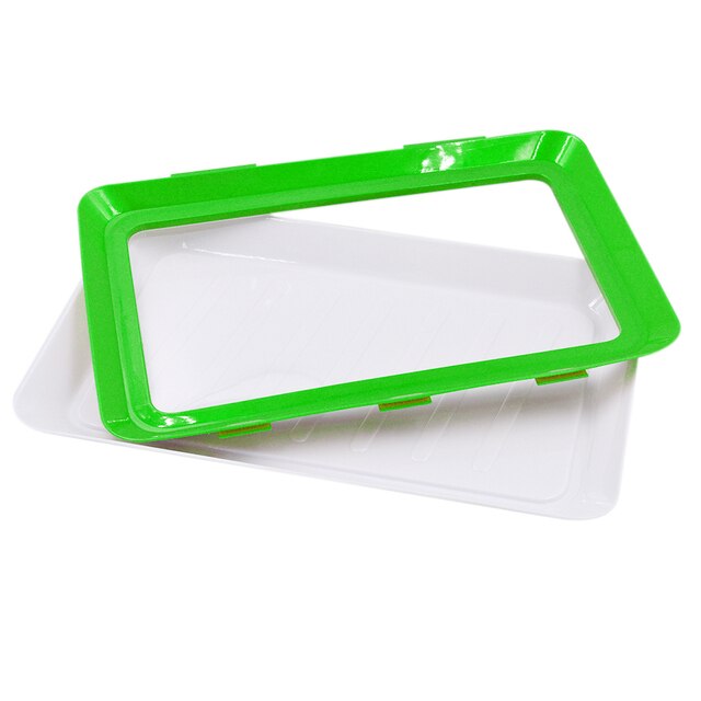 5PCS Food Preservation Tray ReusableFood Fresh Storage Container Plate Refrigerator Microwave Healthy Kitchen Tool: green / 5pcs