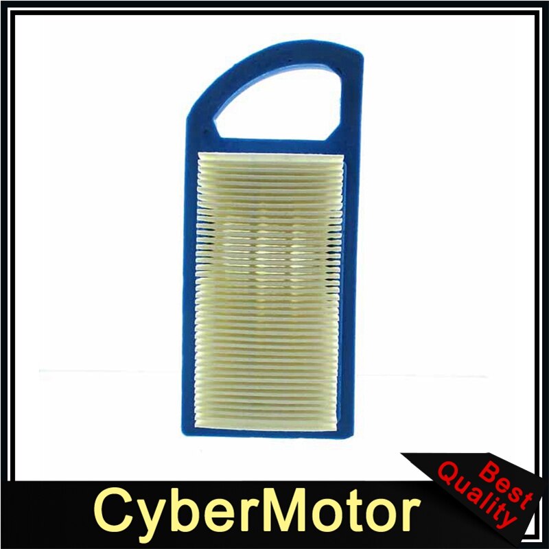 Filtre à Air Briggs & Stratton | 21A902 21A907 21A977 21B902, moteur 650821 697152 698413 10 HP