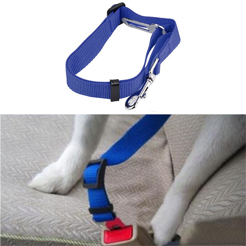 Vehículo para cinturón de seguridad de coche cinturón de seguridad arnés plomo Clip Gato perro seguridad tela de Nylon perro y gato seguro sentarse ajustable @ 01