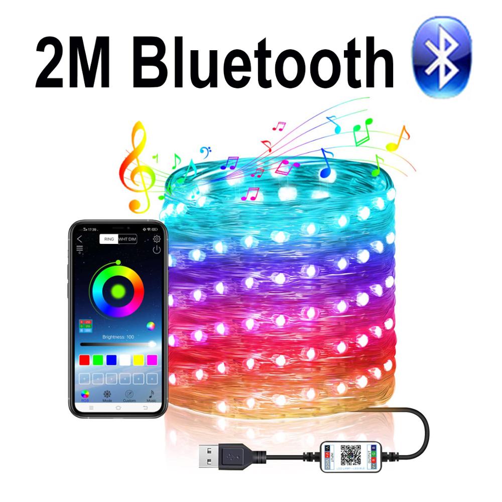 Julbelysning utomhus bluetooth led snöre trädgård års krans dekoration usb festong led ljus belysning: 2m bluetooth
