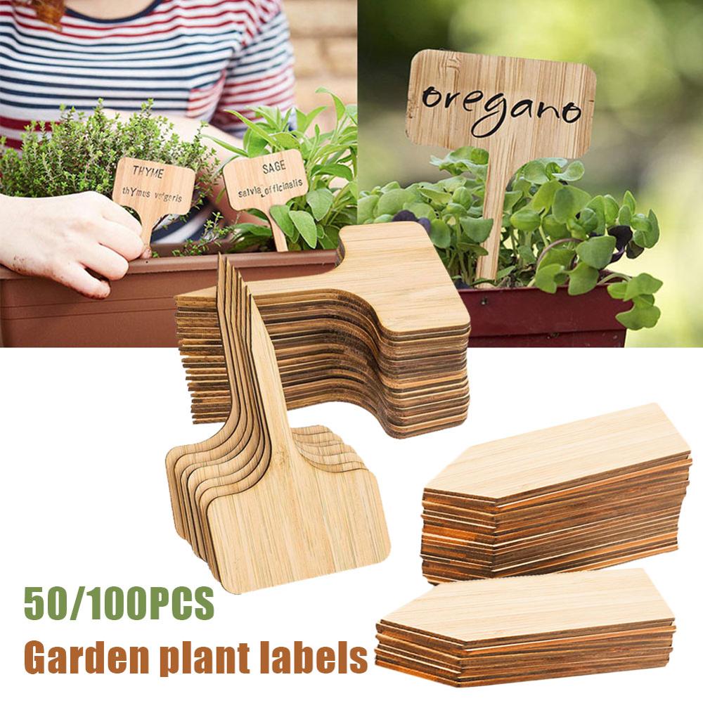 50/100pcs DIY Bamboo Plant Labels Wooden T-type Tags Garden plant label Plant Sign Tags Seed Potted Garden Markers Tools