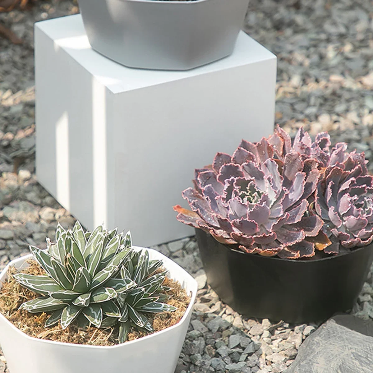 1PC succulent plant flowerpot large caliber flowerpot