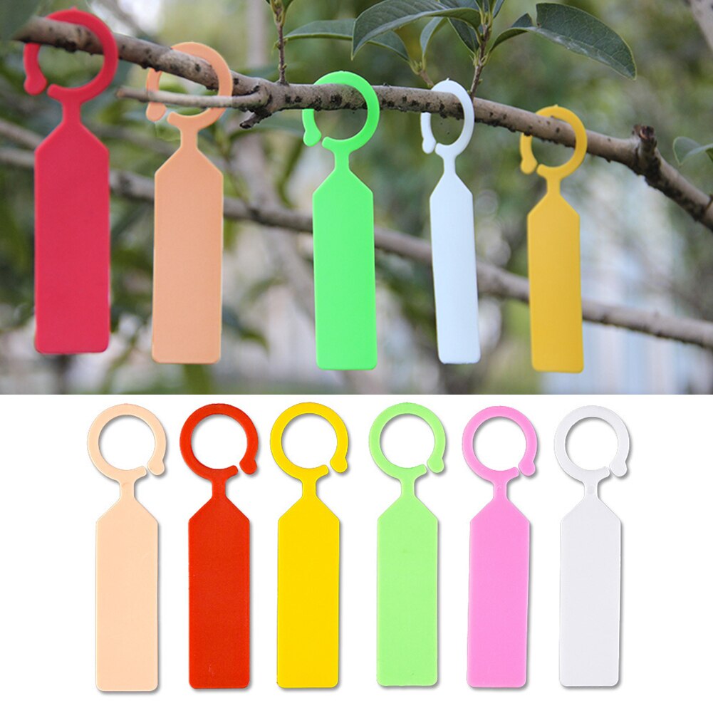 Knop Label 50 Ps Ring Knop Tuinieren Label, Zaailing Label – Grandado