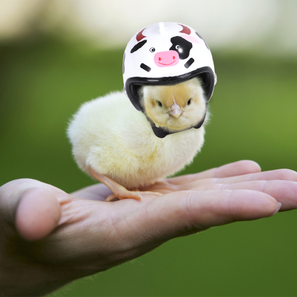 2 Stuks Pet Kip Helm Kleine Huisdier Pluimvee Vogel Eend Hoofddeksels Hoed Caps Head Protector Vogel Hoofd Helm Dierbenodigdheden