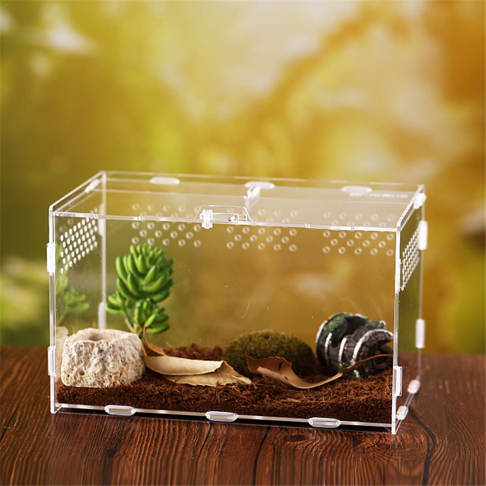 Avlsboks krypdyr fôringsboks akryl terrarium edderkopp til klatring kjæledyr terrarium slange edderkopp øgle skorpion tusenbein