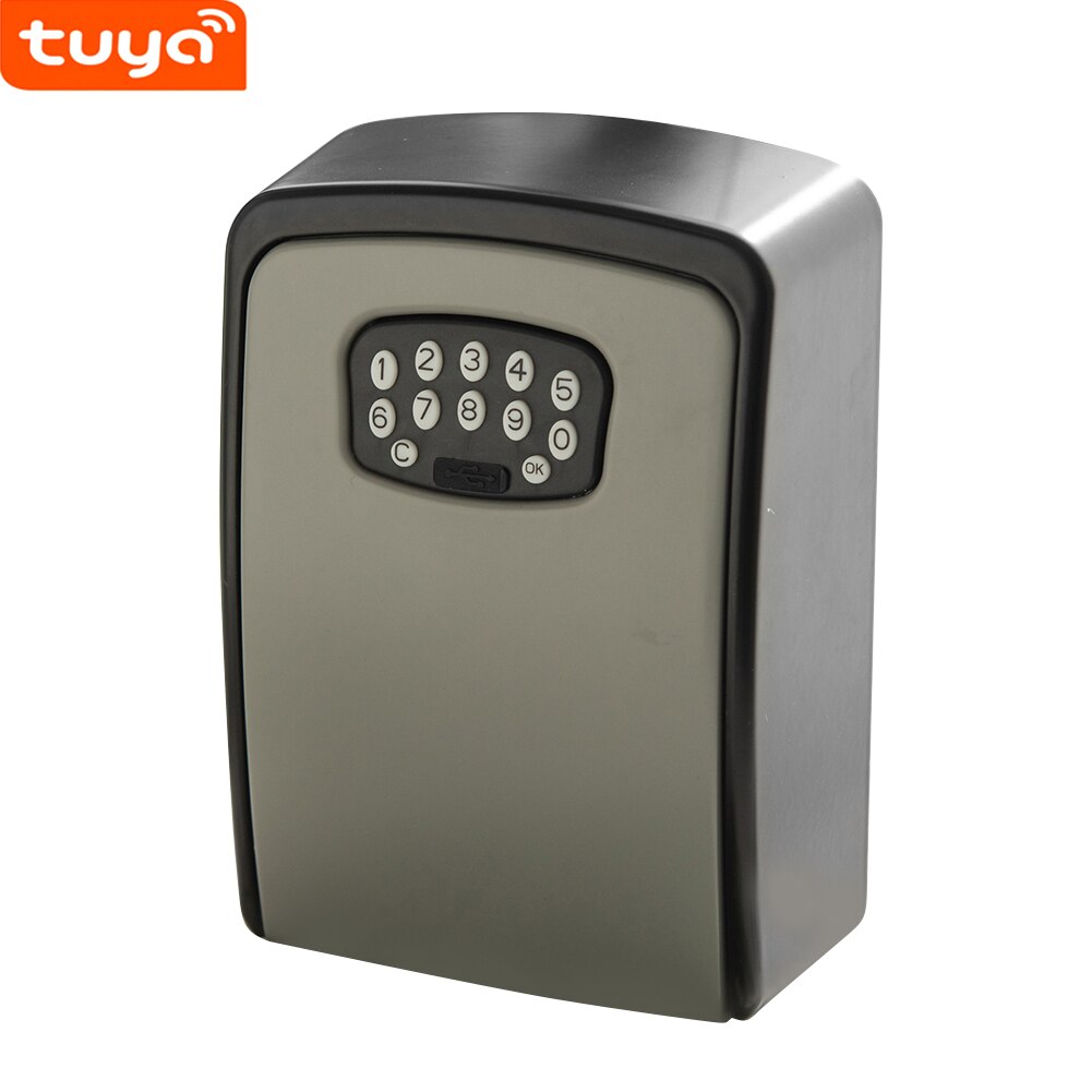 Smart Key Lock Box Tuya Wall Mount Smart Home Key Safe Box Weatherproof for Construction Sites Homestay Apartment