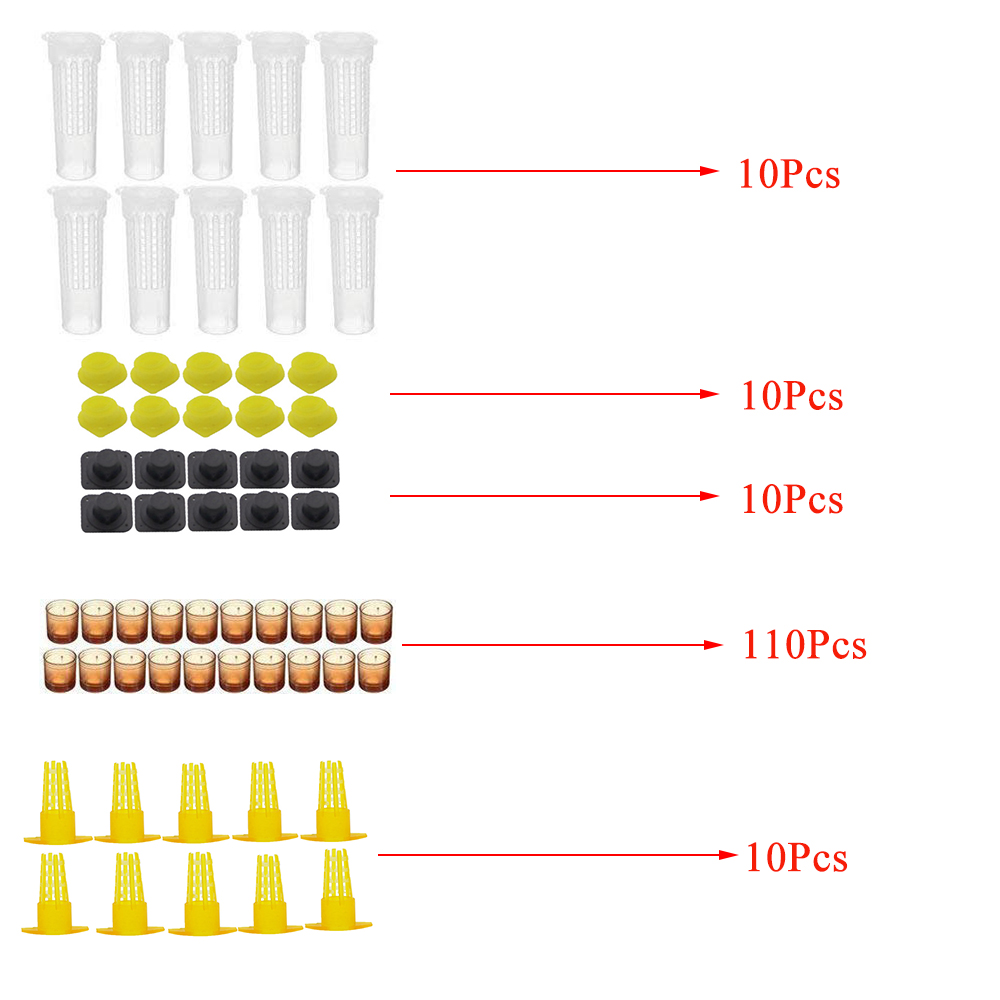 Kit completo de cría de abejas reina, sistema de protección, jaulas de cubierta, celdas, Base, herramientas de plástico, suministros de apicultura, 1 Juego