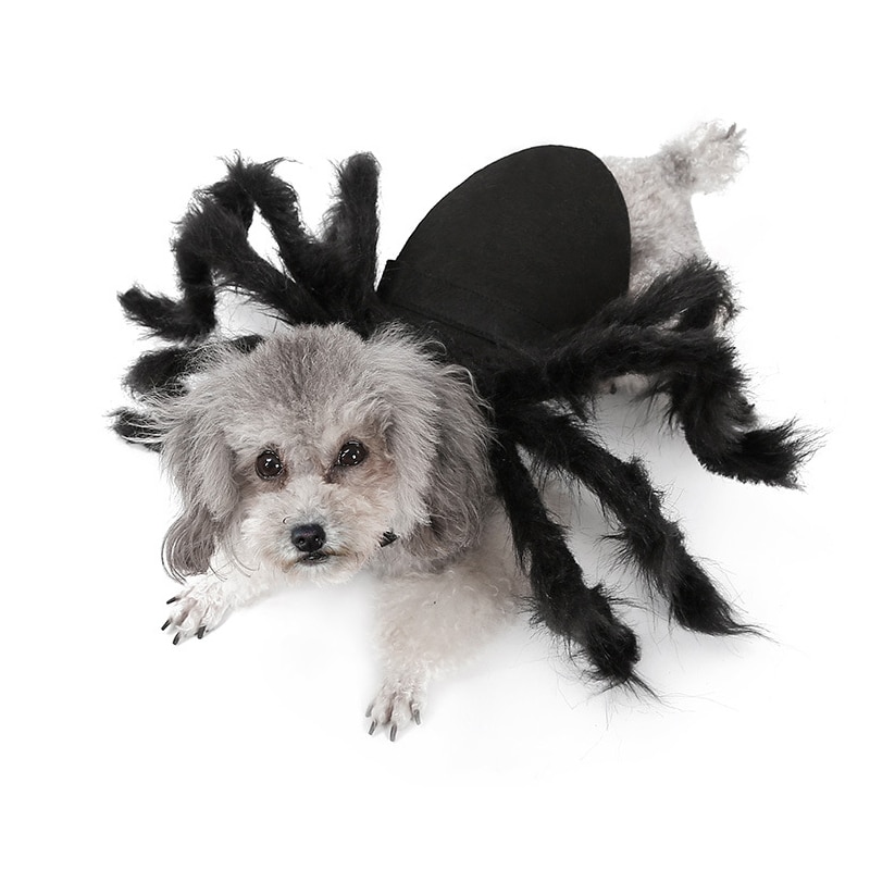 Kæledyr hunde tøj halloween edderkop cosplay kæledyr kostume til katte edderkop flagermus rollespil påklædning til fest jul – Grandado