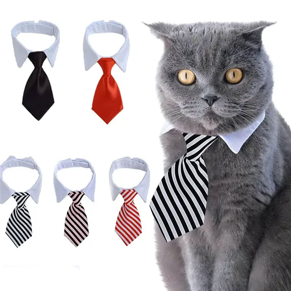 Cravate à nœud papillon pour chiot, cravate réglable pour animaux de compagnie, collier formel pour chien pour petits chiens et chats, cravates de toilettage pour chiots