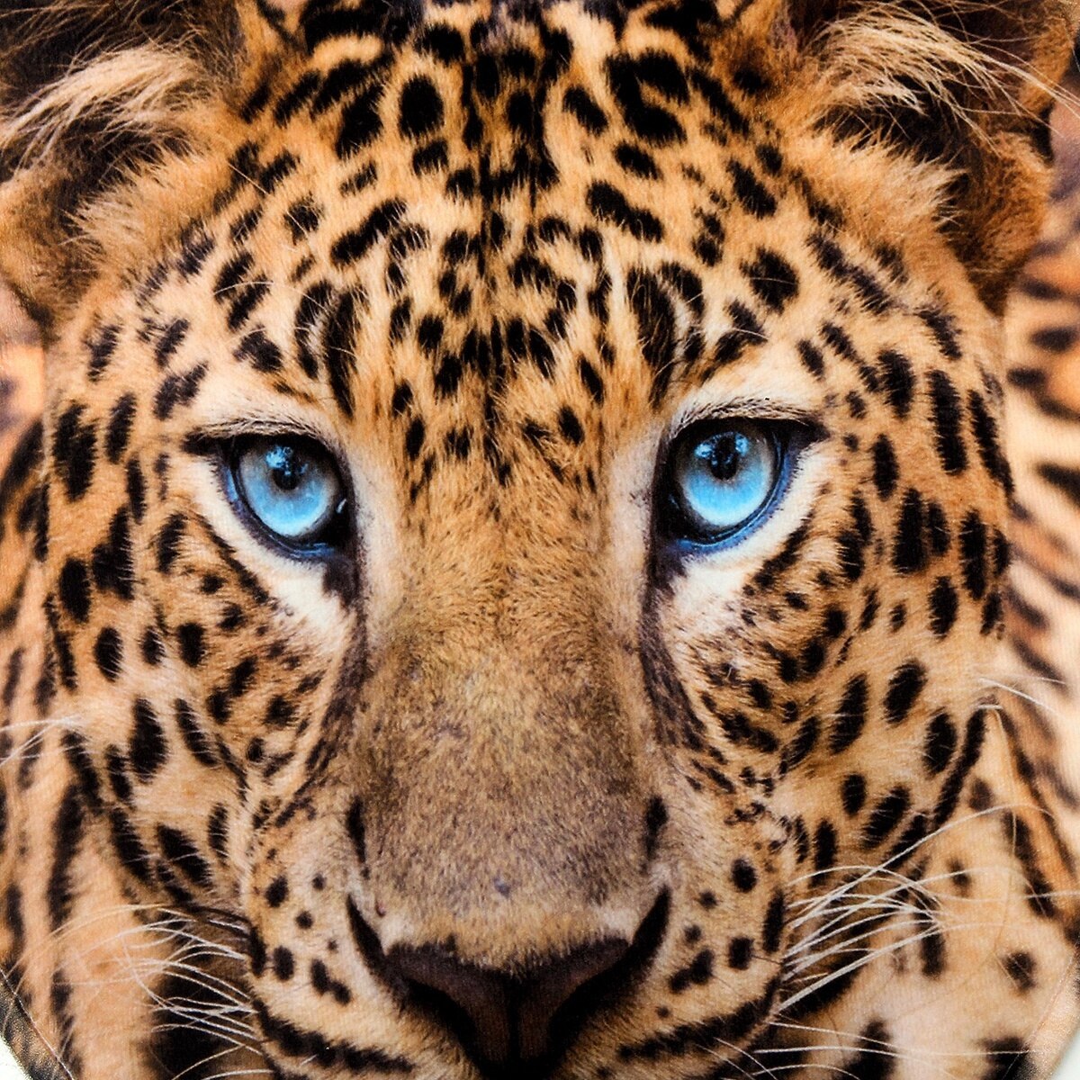 3 delar set leopardtryckt halkfritt badrum toalett piedestal matta golvmatta toalett lock lock vattentät golvmatta badrumsinredning