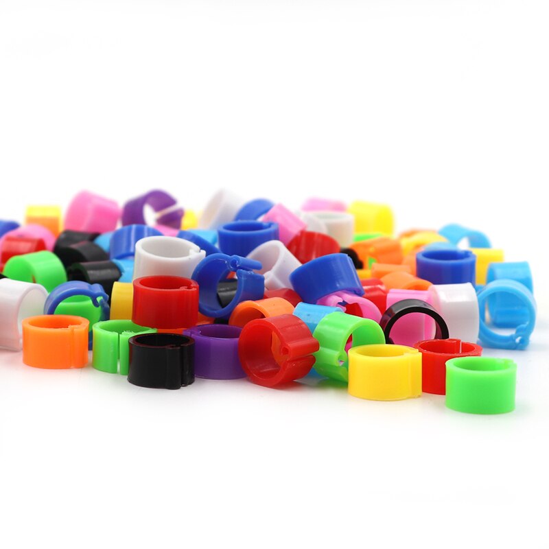 200Stck VöGel Taube Füße Ringe 10 Farben Kunststoff Clip Ring Taube Taube Wachtel Fuß Ringe Haustier Vogel KüKen Identifizierung ringe