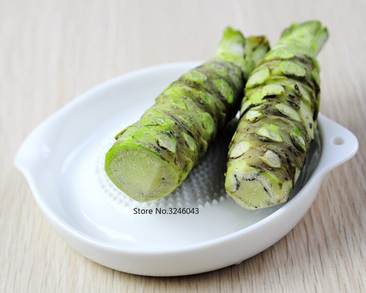 Ceramiczny imbir czosnek Wasabi tarka kruszony wyciskacz robić czosnku urządzenie naczynie na sos sojowy robić Sushi sashimi dziecko żywienie uzupełniające narzędzia