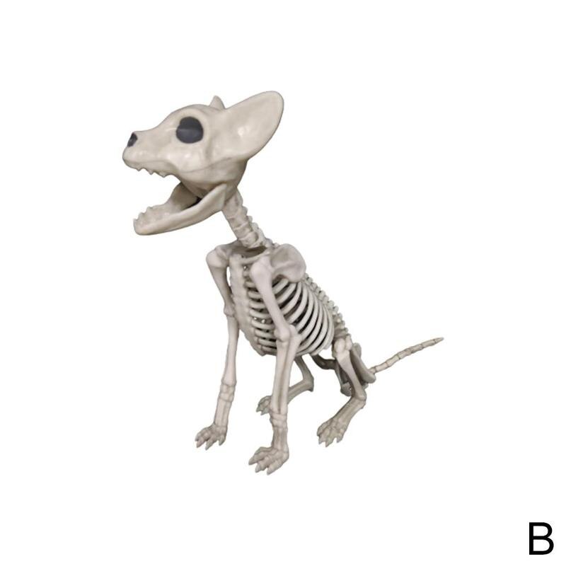 Scheletro di animale Del Gatto Del canna Del topo Modello di Scheletro M1K8: B