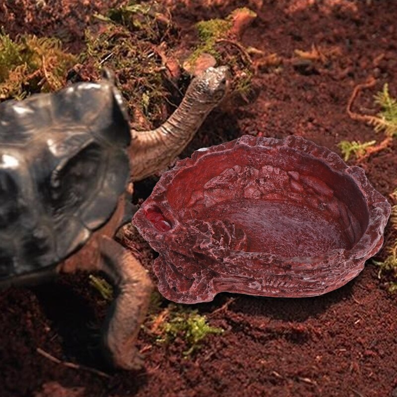 Krybdyr skildpadde føder mad vand foderskål harpiks akvarium ornament
