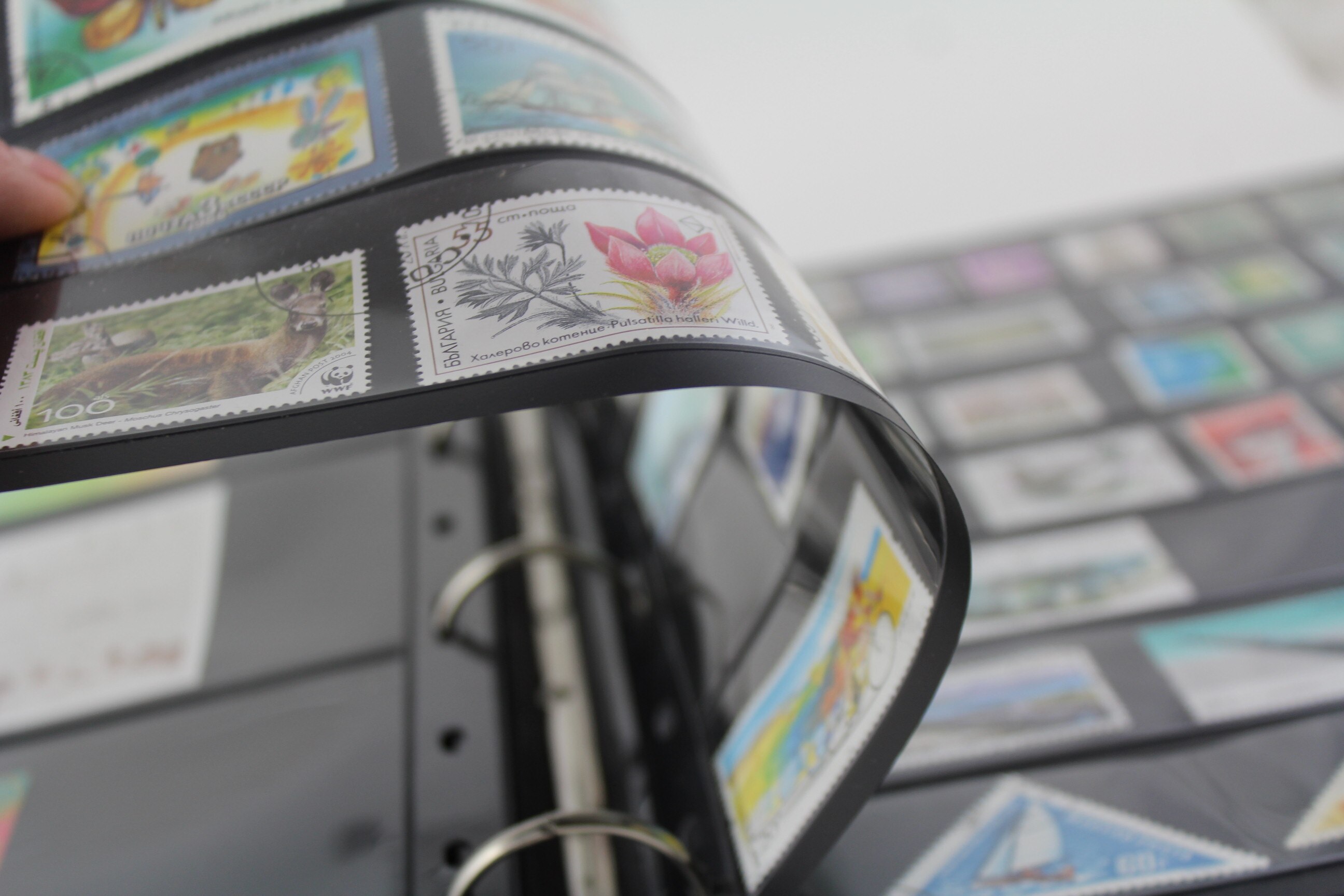 Vario frimærkeindsamlingsside philatly beskyttende ark posesort frimærke lager side plast til ringbind