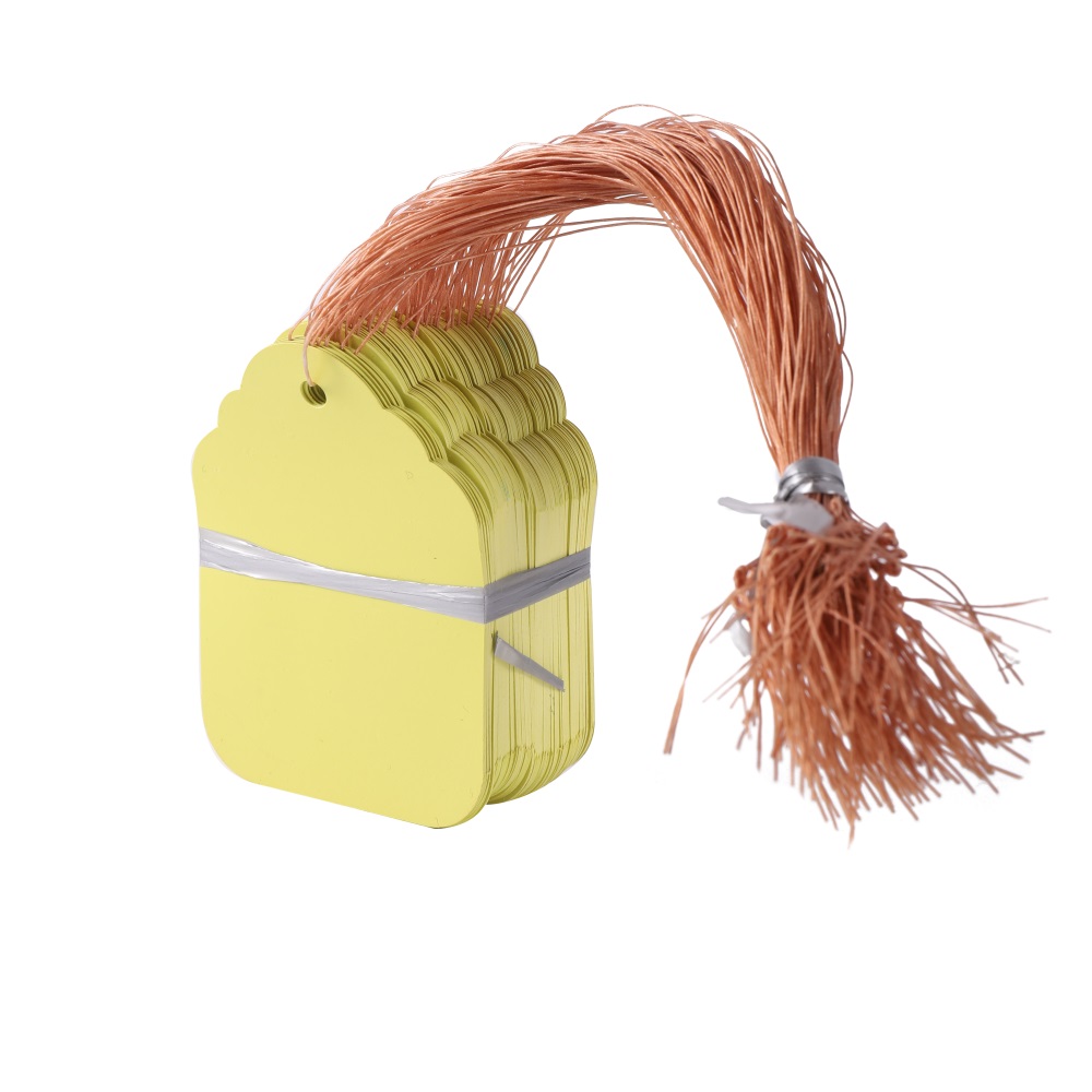 Marcadores para plantas colgantes, etiquetas para plántulas de bricolaje, para colgar flores de jardín, macetas de jardín, herramientas de clasificación de letreros, 100 unidades por lote: 4XL / Verde claro