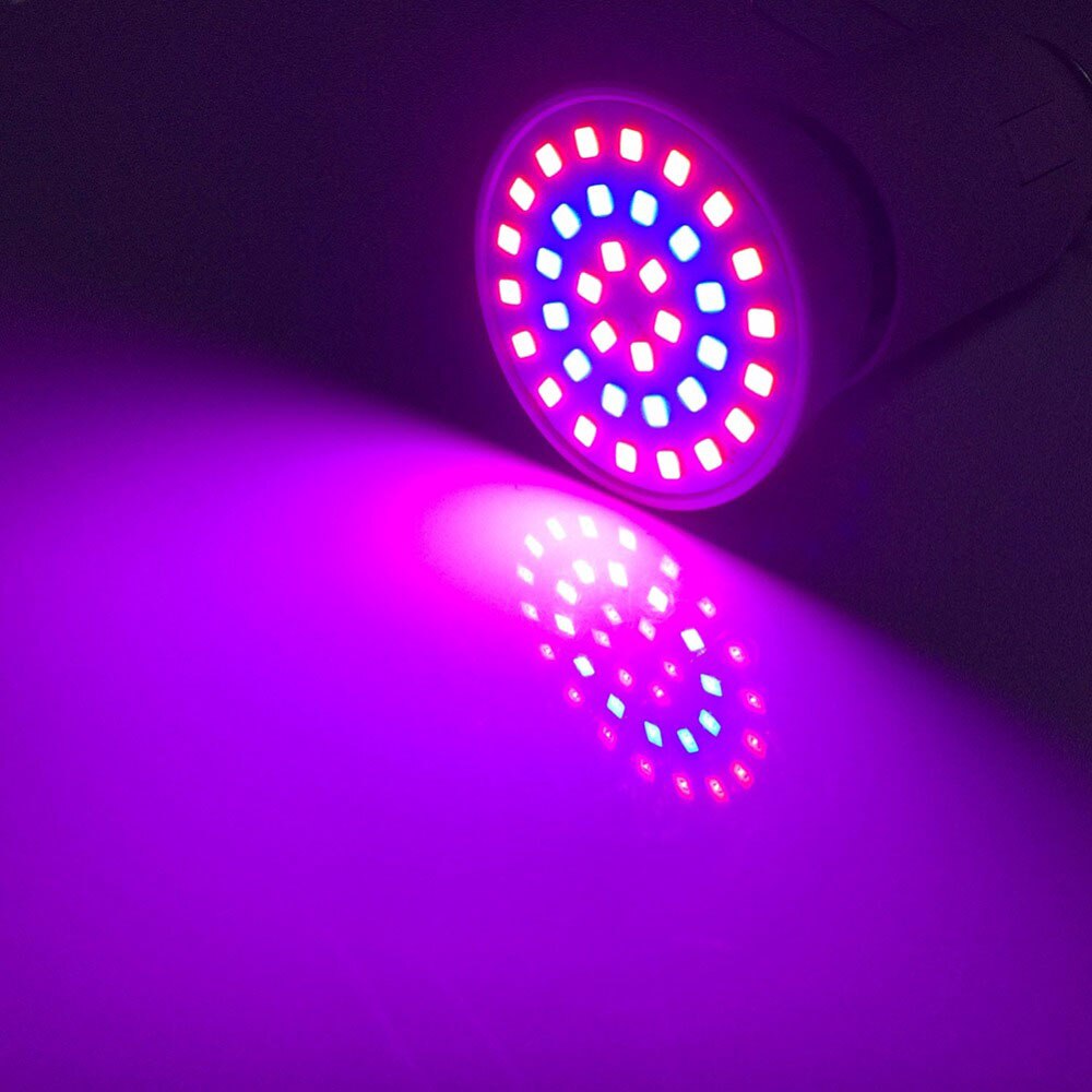 3 typer ledet vokser lys plante blomst vekst lampe pærer drivhus voksende ledet til innendørs hydroponic system vegetabilsk lampe