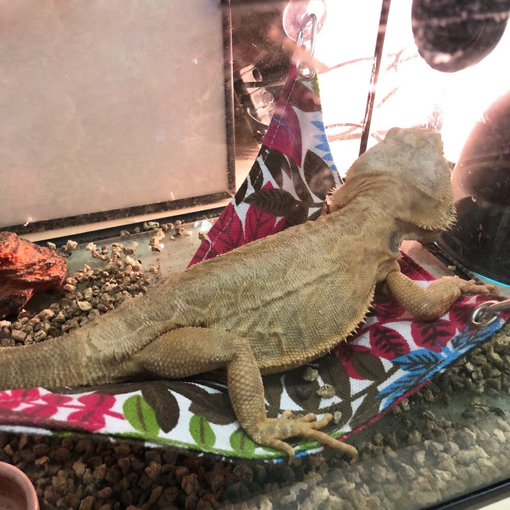 Hamaca para mascotas reptiles serpiente, lagarto cama colgante jaulas para mascotas cama suministros para reptiles para reptil serpiente lagarto subir cama para dormir jugar juguete