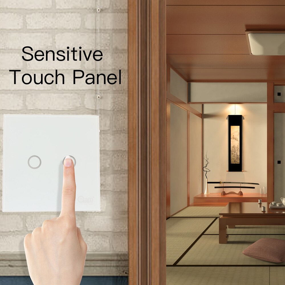 Z-wave Plus Wall Light Switch 2CH Gang Home Automation Z Wave Wireless Smart Remote Control Light Switch NAS-SC02ZE