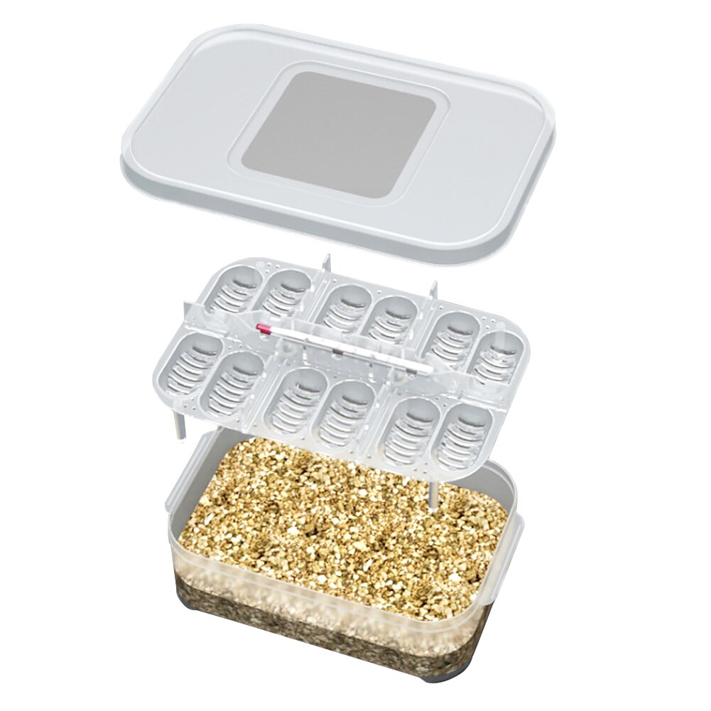 Reptile Breeding Box Lizard Easy Use Reusable Eggs Incubator Home Hatching With Thermometer Small Climbing Pet PP