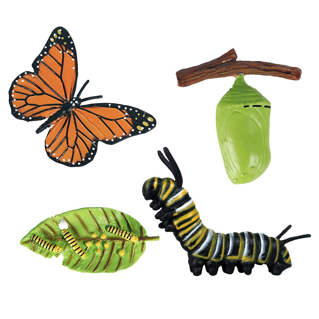 Nature Butterfly Life Cycle Stages Insect Growth Figures Playset Pre-school Early Education Learning Toys for Kids Toddlers