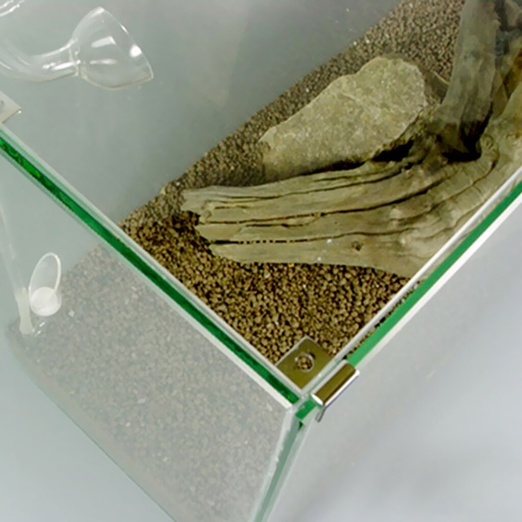 4 stk akvarie glas dæksel støtte akvarium låg dæksel beslag holder rustfrit stål clip støtte 4- pakke  - 5/8/12/19mm