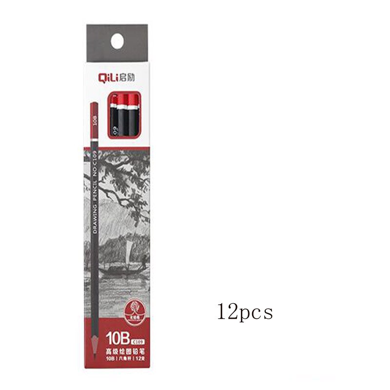 12 Pcs/set Sketch Drawing Pencil Set HB 2B 3H 2H 3B 4B 5B 6B 8B 10B Student Painting Stationery Wooden Lead Pencils: 12pcs 10B