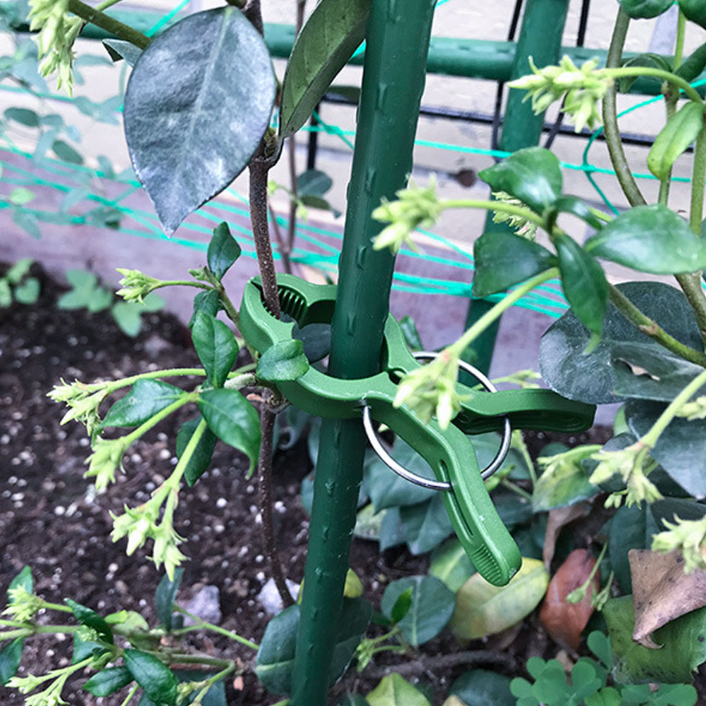 50 stk. plantepodeklemmer drivhusklemmer hageklemmer tomatplanter stilk plast