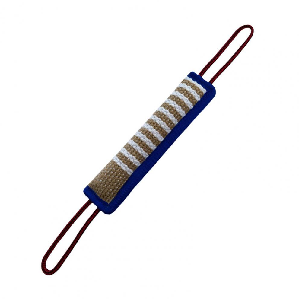 Jouet mordant pour chien, bâton robuste, motif rayé, soins dentaires, entraînement, oreiller: Bleu