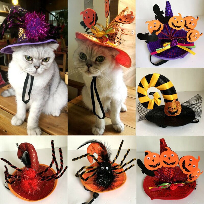 zwierzę domowe Halloween magiczne kostiumy pająk PumpkinHat-placki kot czarownica kapelusz czarodzieja na Halloween przebranie kapeluszy