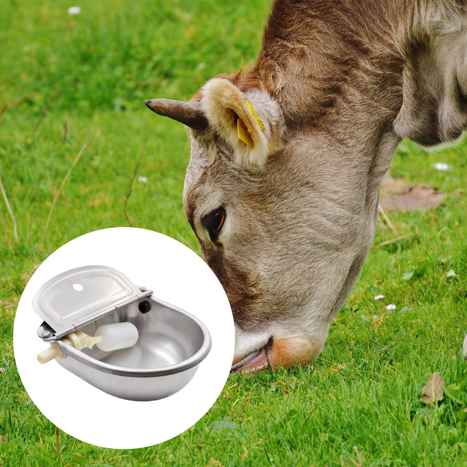 Auto Bowls Feed Cow Cattle Animals Livestocks Waterer Pet Drinker Feeder