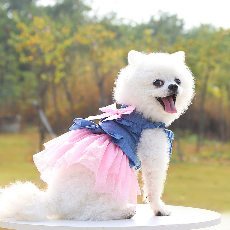 Falda vaquera a la para todas las estaciones, vestido para perro pequeño y mediano, disfraz rosa y blanco para perro, cachorro, gato, ropa de para fotos: Pink / S