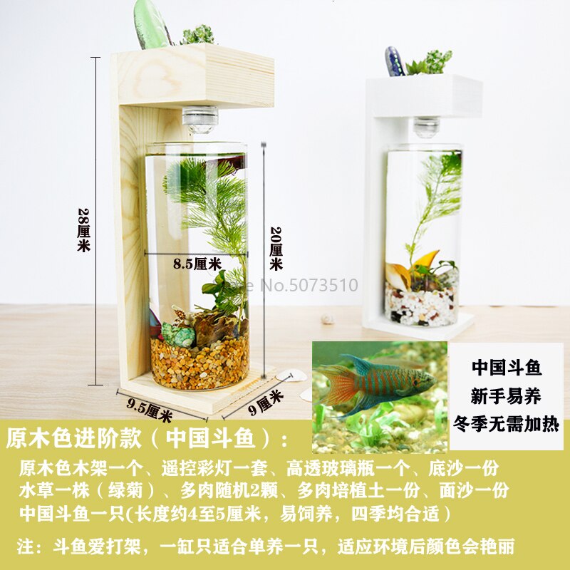 Desktop Fish Tank Home Desk Ecological Microscopic Fleshy Thai Aquarium Plastic: Yellow
