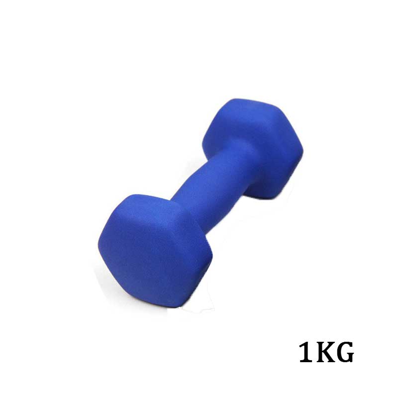 Dumbbells Set - 1kg Paar - Spuitverf Afwerking - Home Fitness Gewichtheffen: Blauw 1kg