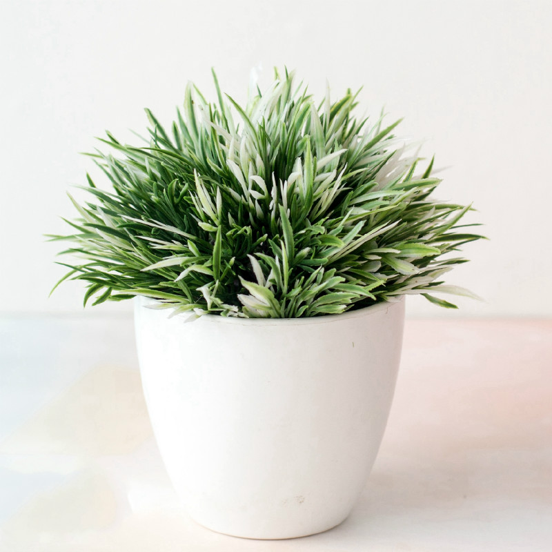 1pc Artificial Plant Bonsai Simulation Plastic Small Tree Pot Plant Potted Ornaments for Home Tabl Decoration Hotel Garden Decor: FWC white