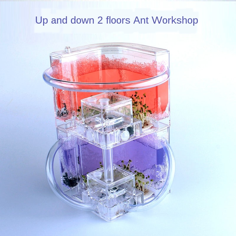 Double layer DIY Acrylic Ant Farm Underground Ant Nest Ant House with Feeding Area Pet Anthill Workshop Castle
