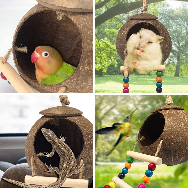 View of Coconut Bird Nest Hut with Ladder for Parrots Para... – Grandado