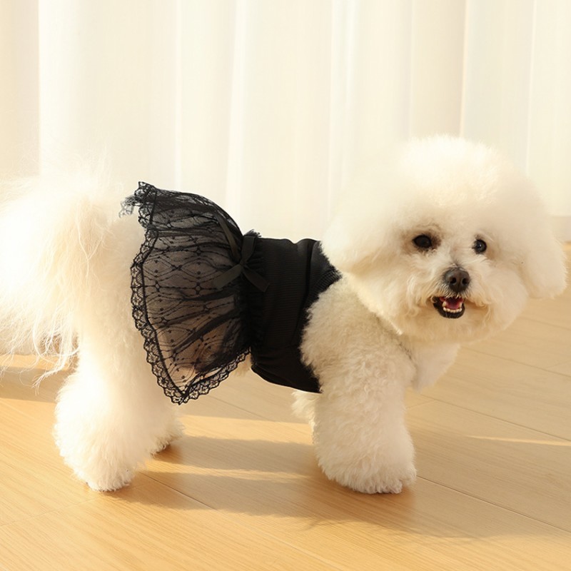 Hond Prinses Jurk Hond Kleding Voor Kleine Honden Puppy Zomerkleding Kant Roze Rose Hond Trouwjurk Chihuahua Pug Hond Rok: XL / Blauw