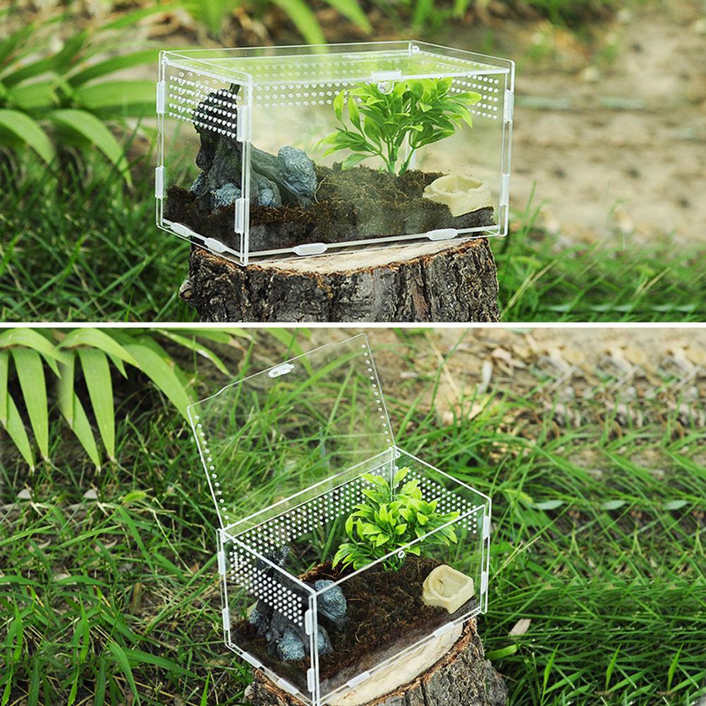 Mehrere Lüftungsschlitze Reptil Zucht Kasten Acryl transparent Reptil Panzer Insekten Spinnen Skorpione Gottesanbeterin Fütterung Kasten Terrarium Panzer
