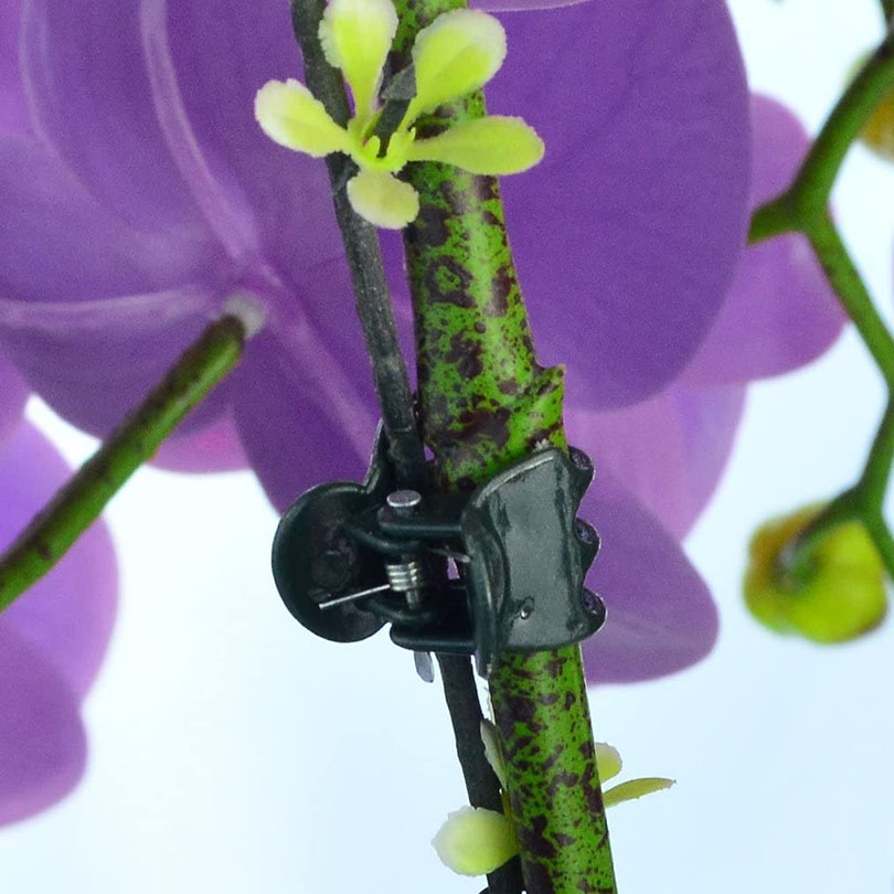 Gartenpflanzenklammern, Pfropfklammern, Stützklammern, gebundene Rankenklammern, Blumen, Obst, Gemüse, Schmetterling, Orchidee, spezielle Clips