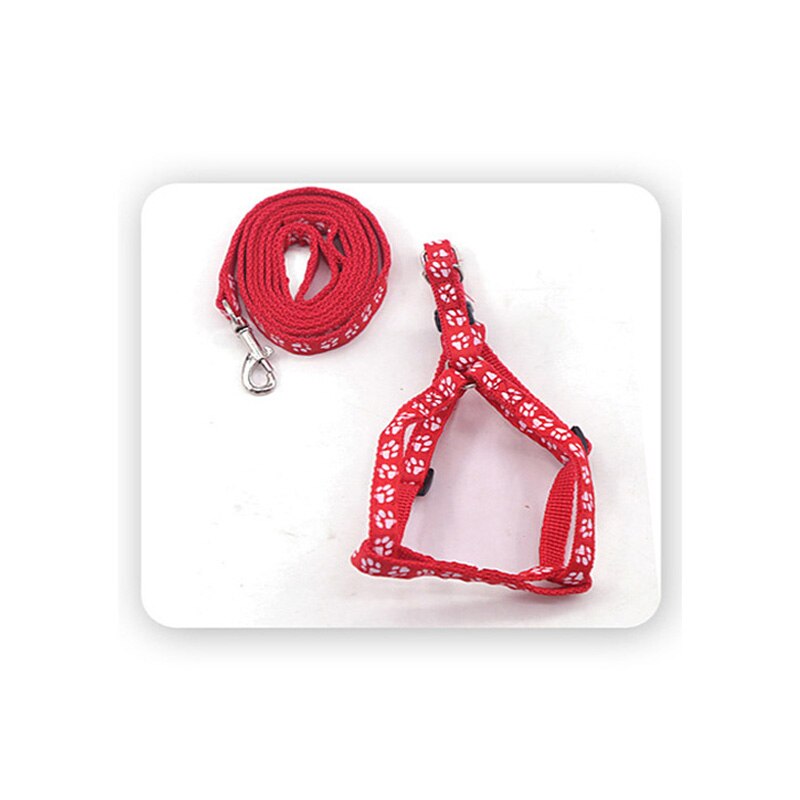 Bilayer-Collar con correas de nailon para perro, conjunto de arnés de correa de plomo para gato, chaleco para caminar, tren de plomo, ajustable y duradero