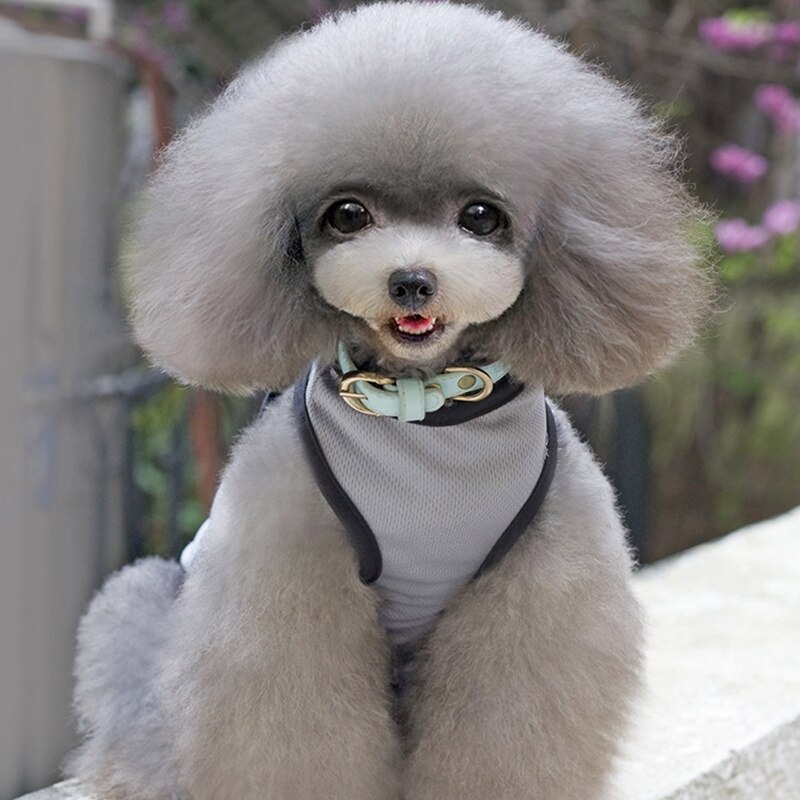 ALI Dog Shirts Chiwawa Clothes For Dogs Shih Tzu T Shirt YorkshireS Terrier Shih Tzu Pet Clothes Breathable Accessories Apparel